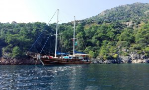 Аренда Гулетов Akifoglu Турции