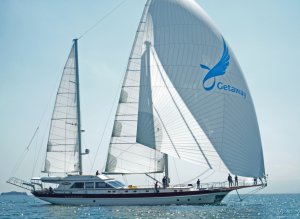 Goélette Getaway