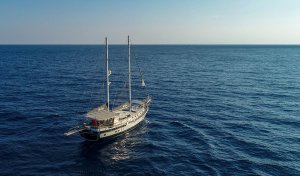 Аренда Гулетов Grand Sailor Турции