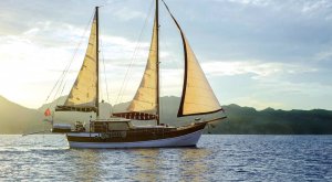 Location de Goélette Laila Deniz Turquie