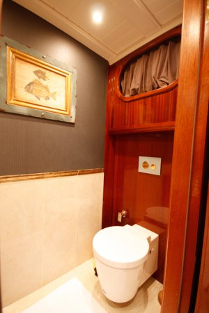 Gulet White Goose Available for Charter