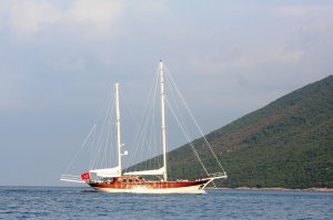 Gulet White Goose Available for Charter