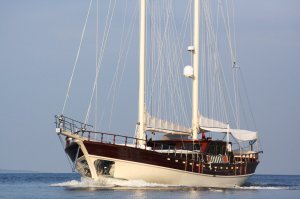 Gulet White Goose Available for Charter