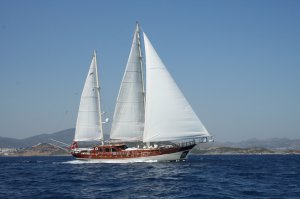 Gulet White Goose Available for Charter