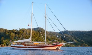 Gulet Wicked Felina Available for Charter